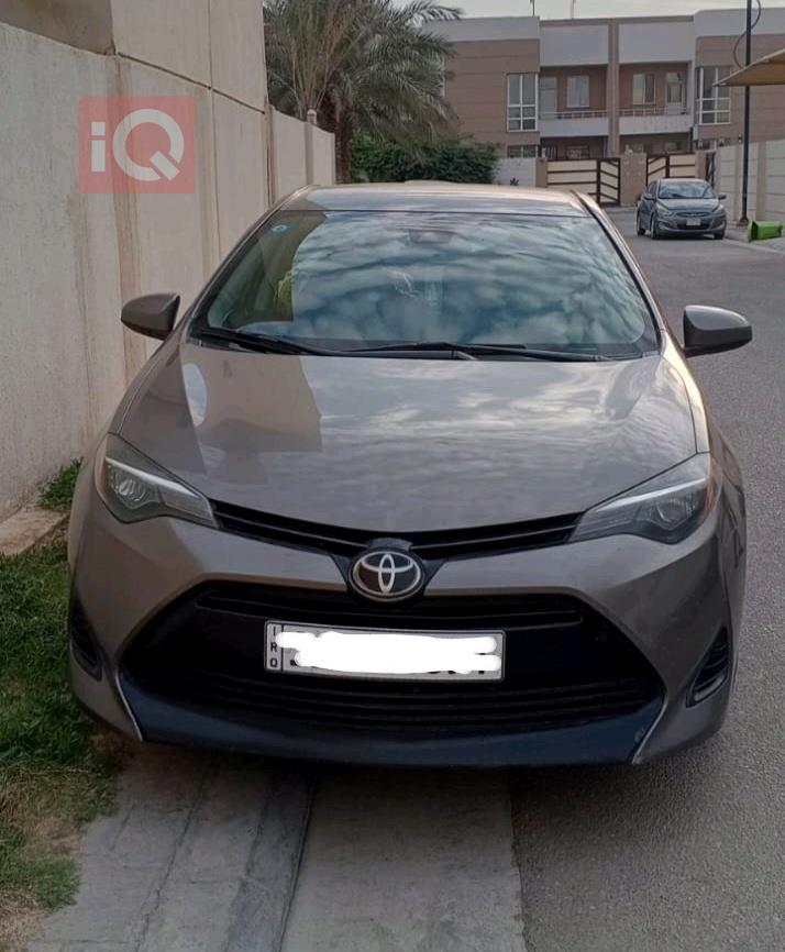 تويوتا كورولا